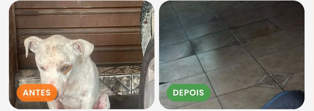 Theodoro - antes e depois