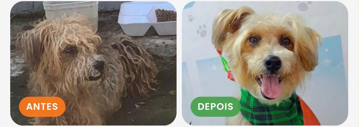 Thor - antes e depois
